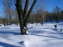 Montreal snow 2003